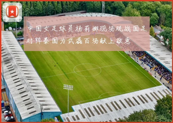 中国女足球员杨莉娜现场观战国足对阵泰国为武磊百场献上敬意