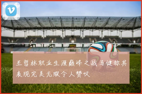 王哲林职业生涯巅峰之战马健称其表现完美无瑕令人赞叹
